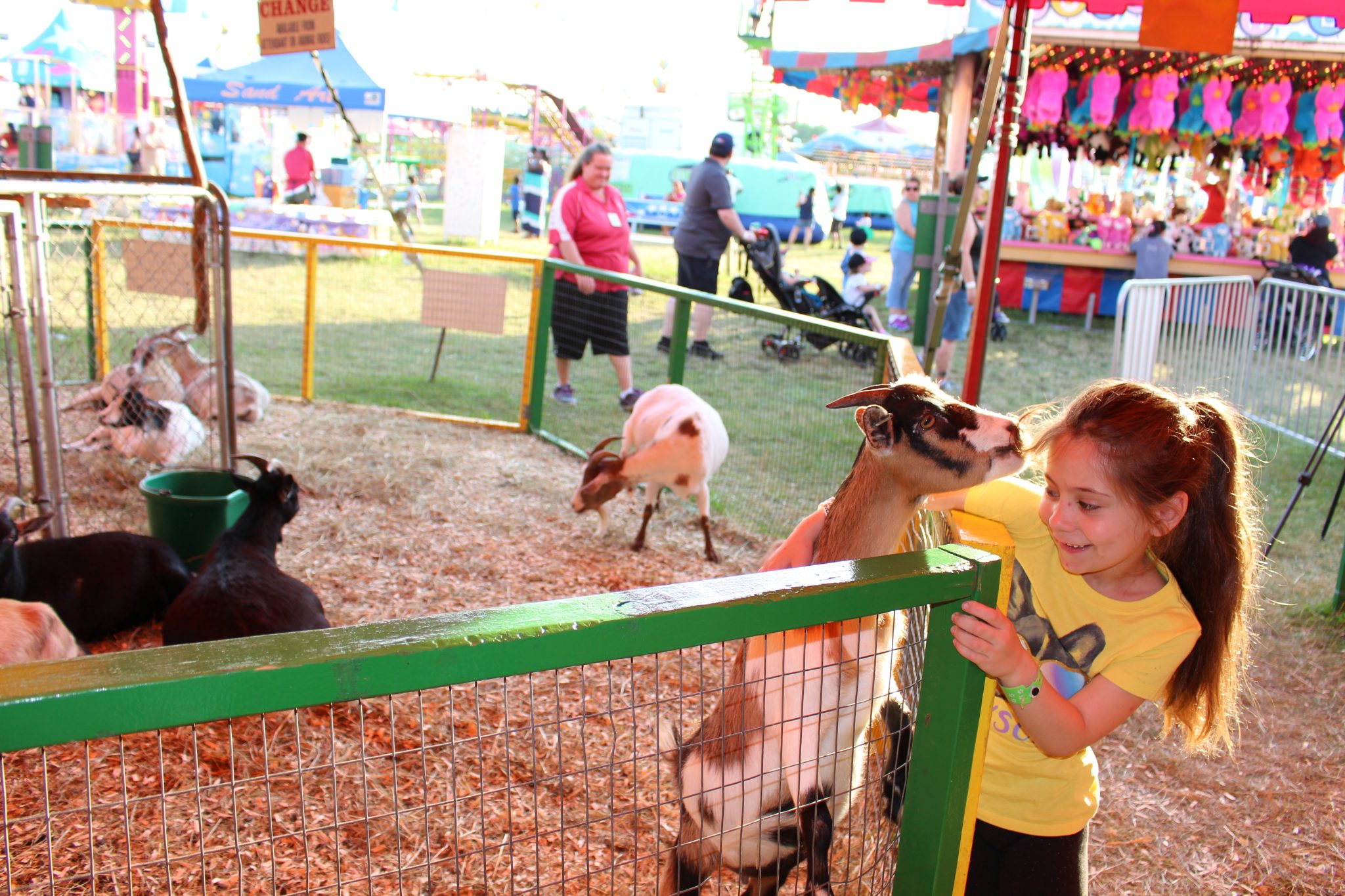 Petting Zoos In Minnesota: A Guide To Cute Critters And Family Fun