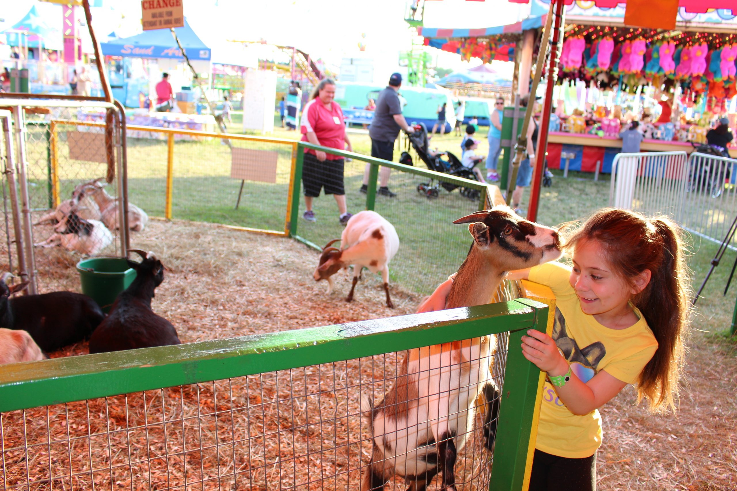 Do Petting Zoos Make Money