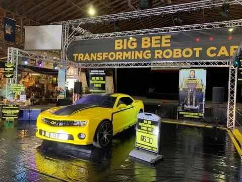 Big Bee Transforming Robot Car