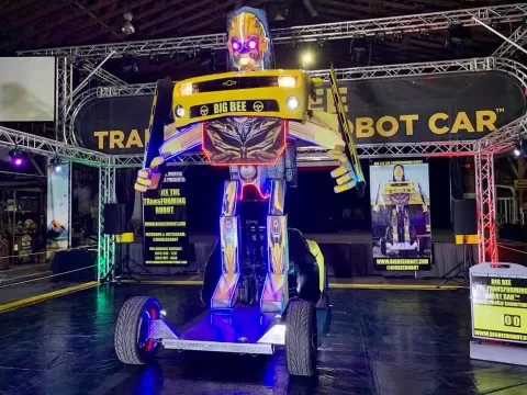 Big Bee Transforming Robot Car